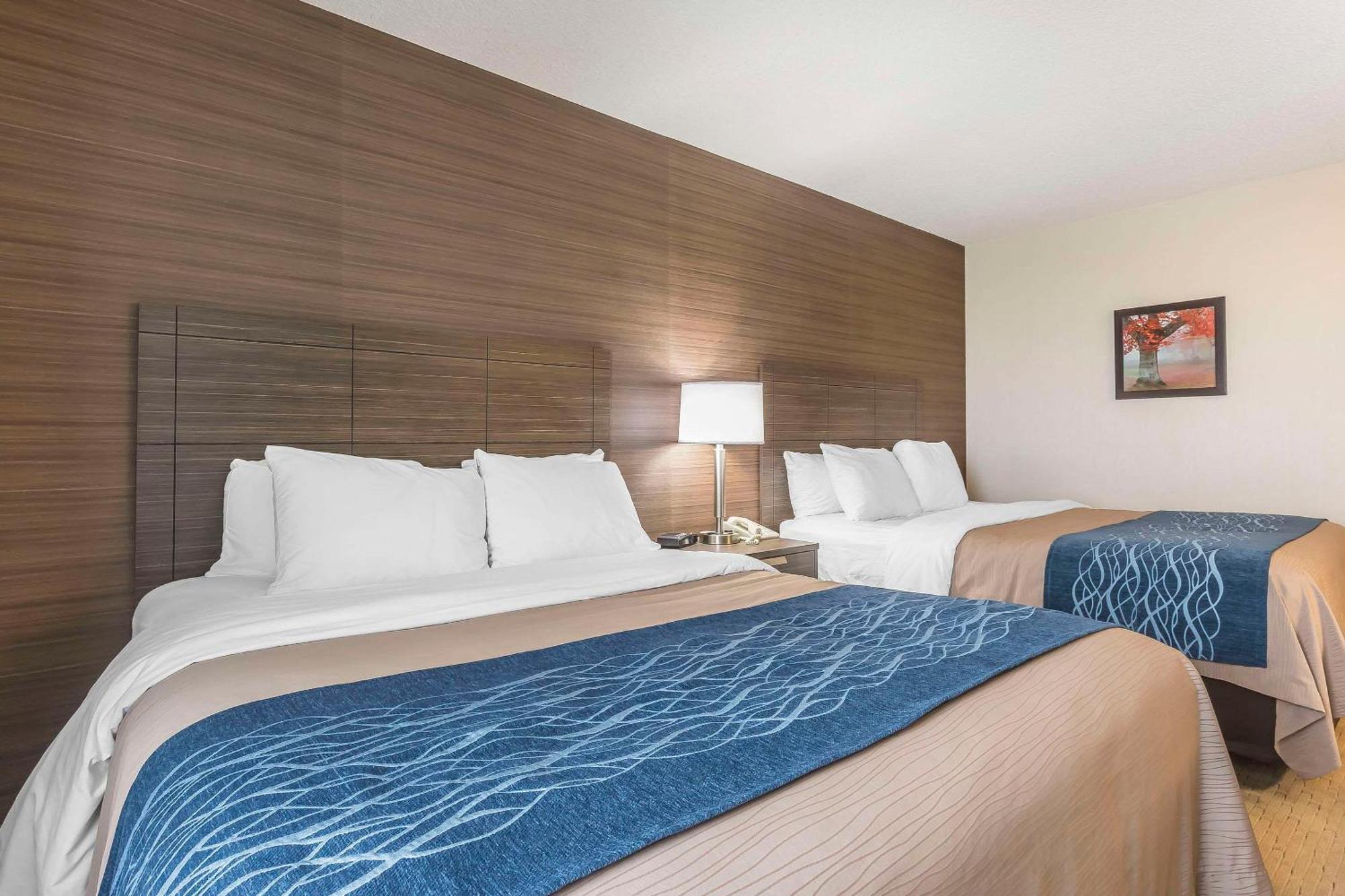Comfort Inn Lévis Εξωτερικό φωτογραφία