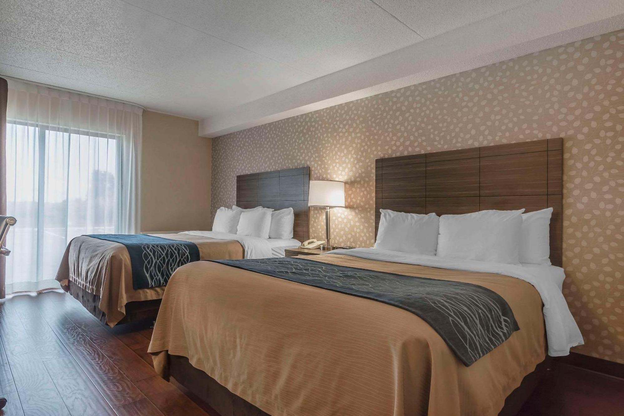 Comfort Inn Lévis Εξωτερικό φωτογραφία