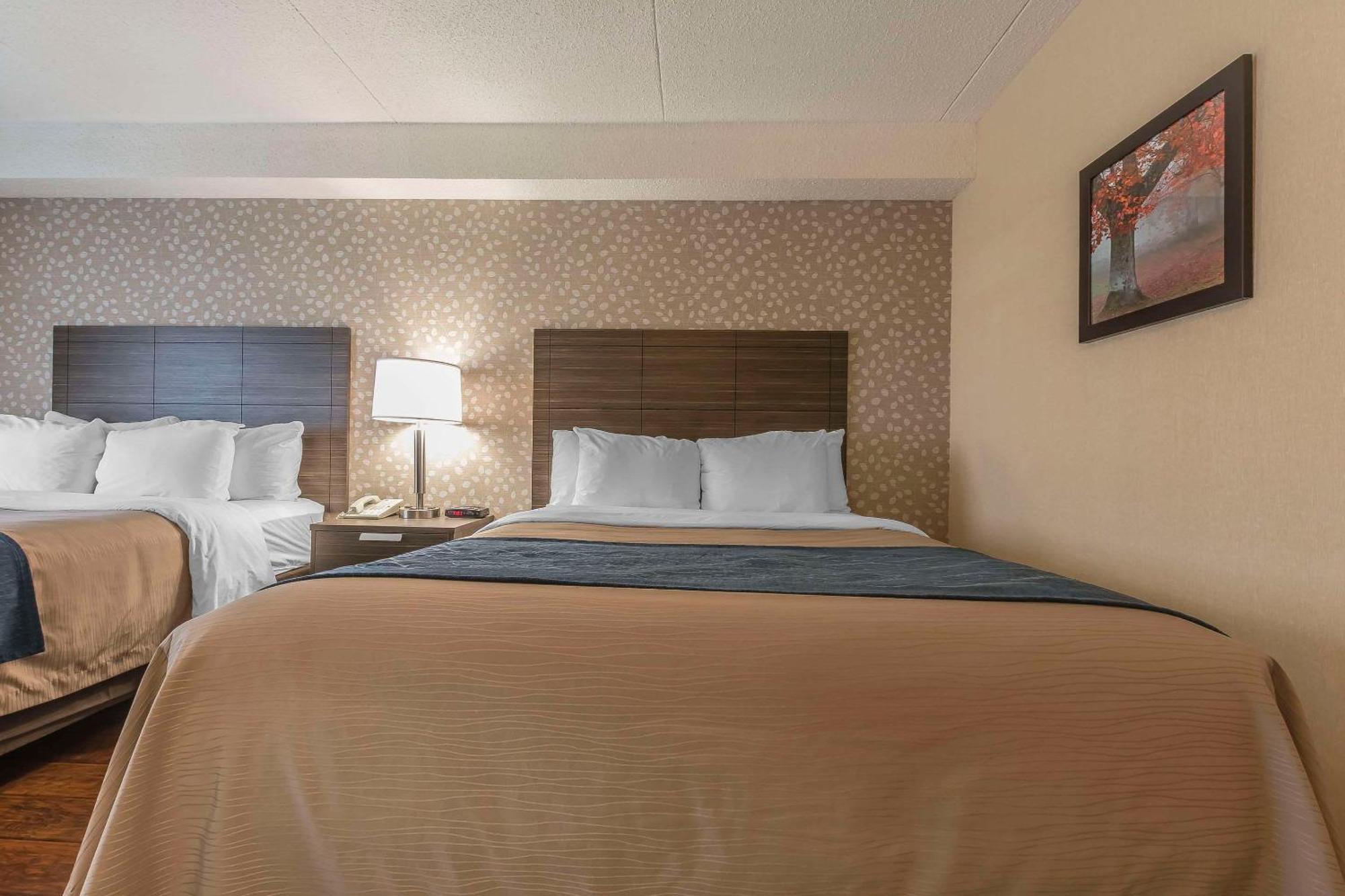 Comfort Inn Lévis Εξωτερικό φωτογραφία