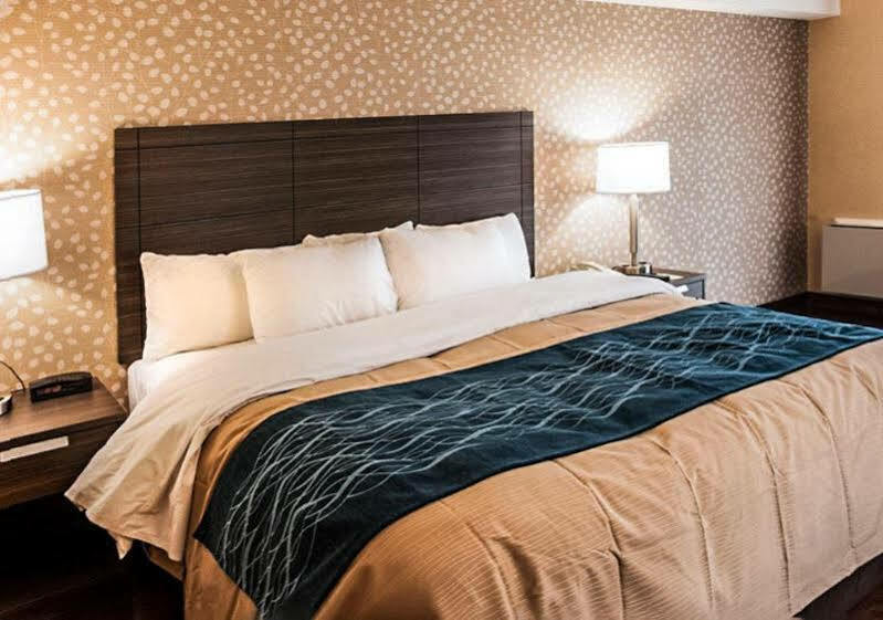 Comfort Inn Lévis Εξωτερικό φωτογραφία