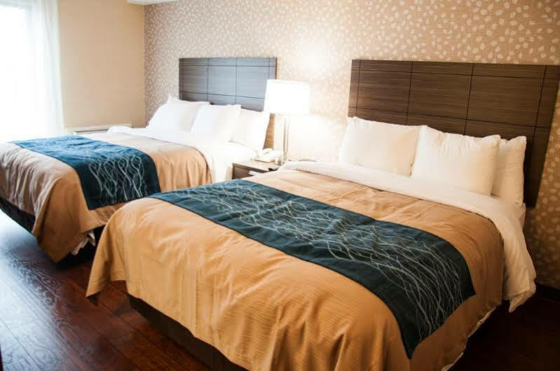 Comfort Inn Lévis Εξωτερικό φωτογραφία