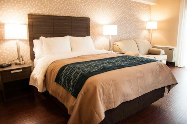 Comfort Inn Lévis Εξωτερικό φωτογραφία