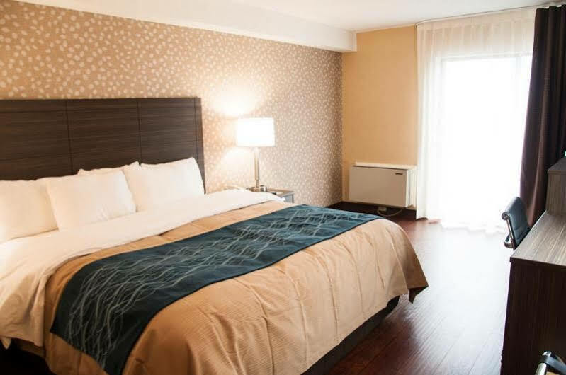Comfort Inn Lévis Εξωτερικό φωτογραφία