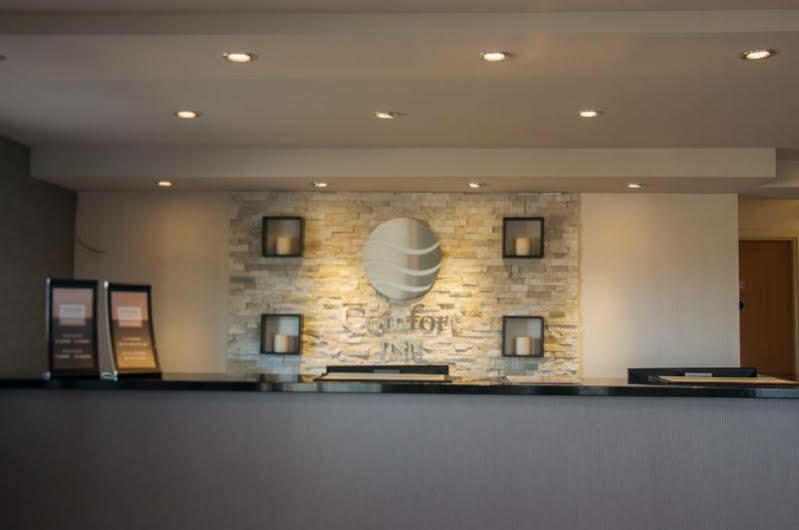 Comfort Inn Lévis Εξωτερικό φωτογραφία