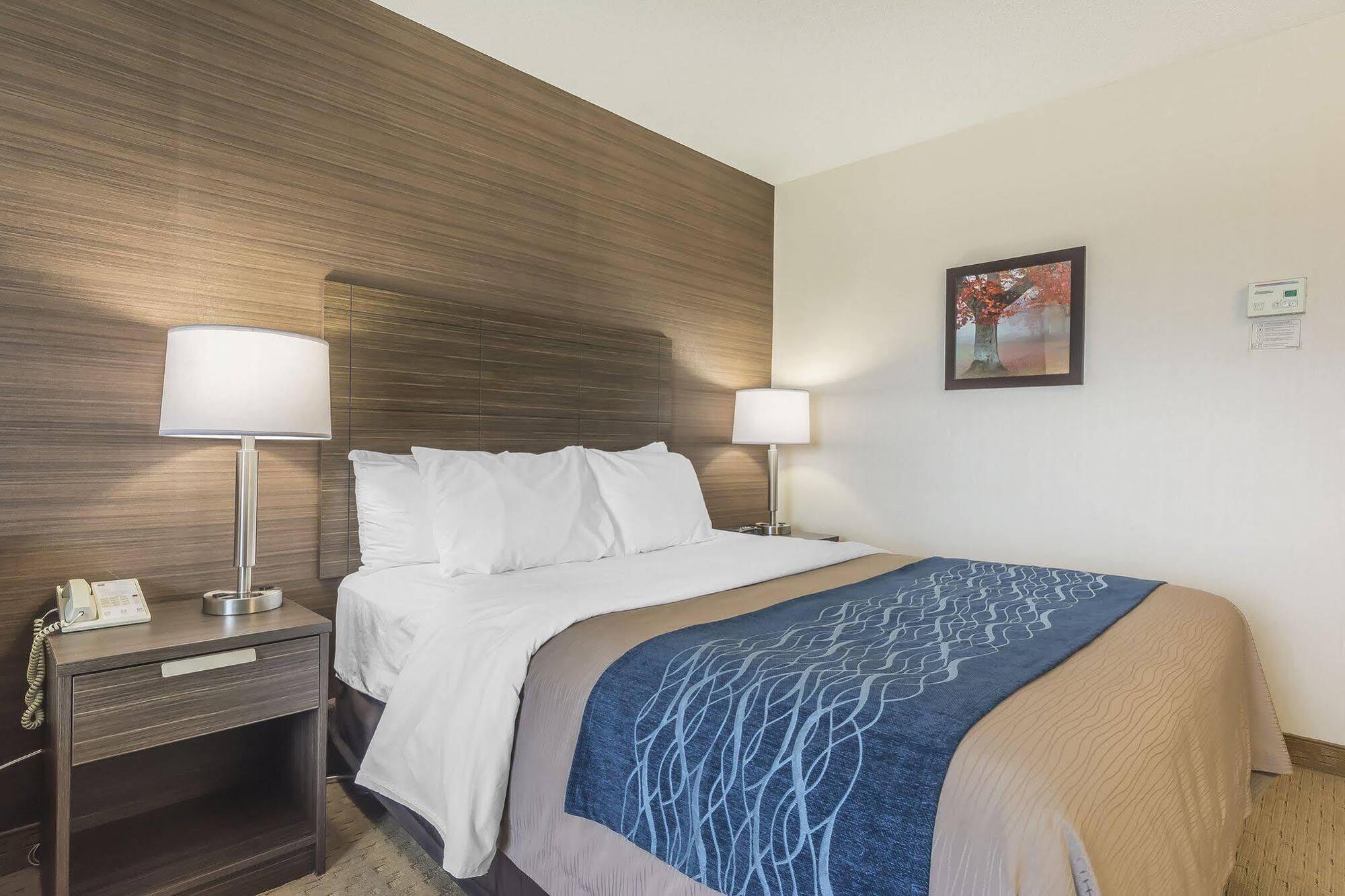 Comfort Inn Lévis Εξωτερικό φωτογραφία